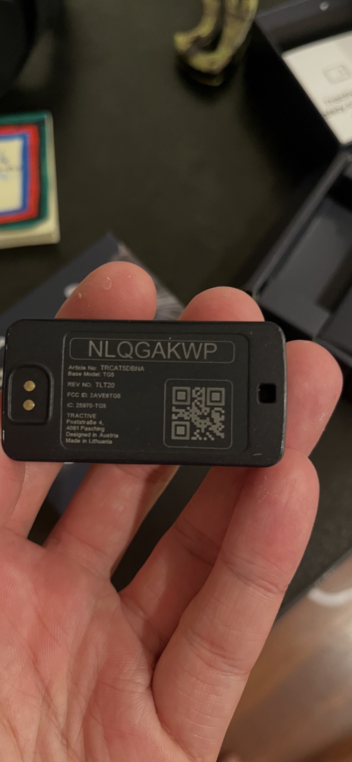 Shadow cat NLQGAKWP